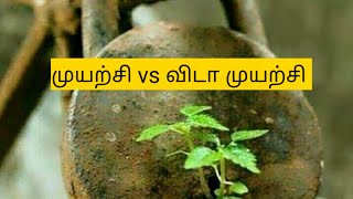 முயற்சி விடாமுயற்சி வித்தியாசம் என்ன ?  இன்றைய சுய முன்னேற்றம்