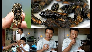 Huanong Brothers: Fried some cicadas and bamboo bugs. Crispy and tasty. Kids are craving for them.