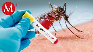 Buscan evitar casos de dengue en escuelas de Tampico