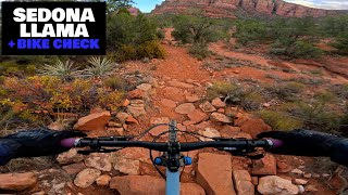 Sedona Season Has Started | Llama + Bike Check | Mountain Biking Sedona Arizona