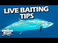 Live-Baiting for Mackerel | The Fishing Show