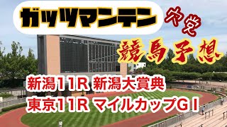 2021年5月9日の競馬予想 NHKマイルカップGⅠ