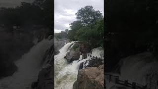 ஒகேனக்கல்  main falls