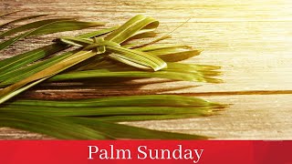 Homily for Palm Sunday, March 24th, 2024