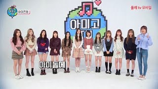 Amigo TV Season 4 - IZONE Ep.3 (END) Full [ENG & INDO SUB]