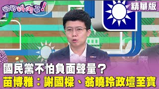 精華片段》#國民黨 不怕#負面聲量？#苗博雅：#謝國樑 #翁曉玲 #政壇至寶【#狠狠抖內幕】2024.03.07