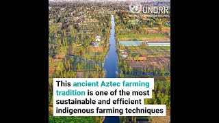 This ancient Aztec tradition is helping Mexican farmers during COVID