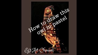How to draw this little owl in pastels