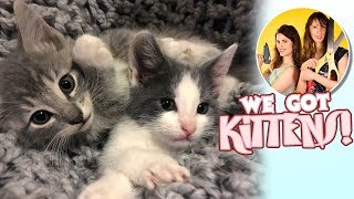 OMG We Just Got Kittens! | Meet Sitka and Willow