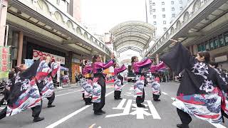 島根県立大学よさこい橙蘭　YOSAKOIぶち楽市民祭2024　2024年11月10日　みずほ銀行前会場