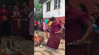 lama dance #lama