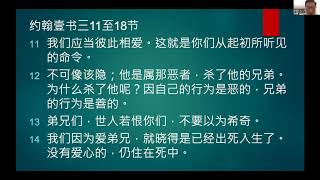 2020.05.03 北华主日崇拜 彼此相爱--陈应强牧师