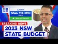 NSW Treasurer hands down 2023 state budget | 9 News Australia