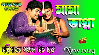 হরিসাধন মণ্ডল 2024 নতুন গাজন | মামা ভাগ্না| 2024 Harisadhan Mondal New Gajon | ভোরের আলো গাজন সংস্থা