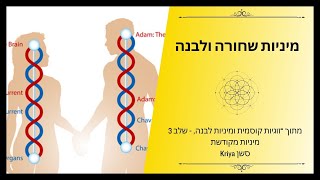 מיניות קארמתית ומיניות מקודשת | זוגיות קוסמית ומיניות מקודשת - שלב 3