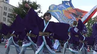 横浜よさこい祭り'22 ステージ 北里三陸湧昇龍