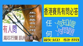 9月26日 「最新環節」 「香港賽馬有問必答」所有 香港賽馬「冷知識」「冷問題」基本我都識答！除咗血統！ 請大家踴躍留言 在「這個視頻」之內: 以後逢星期一及星期四「試辦」 如果時機成熟可做直播