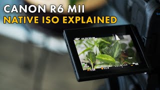 Understanding Native ISO on Canon R6 Mark II: When to Stick With It & When to Adjust