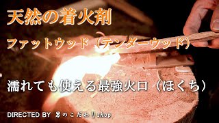 火起こし簡単！濡れても火が点く ファットウッド テンダーウッド 使い方 見つけ方 着火 天然の着火剤 焚き火の火口 焚き付けに最高 焚き火が簡単にできる方法 濡れても使える最強着火剤