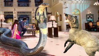 नेवले ने किया इच्छाधारी नागिन का पर्दा फास | Icchapyaari Naagin | New Naagin Episode 2024