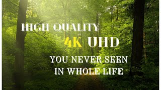 amazing nature and life 4K ULTRA HD | Breathtaking wild life and nature with relaxing music