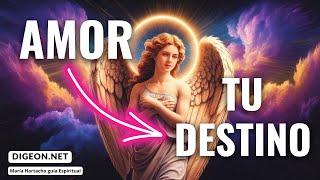 NO HUYAS DE TU DESTINO💌MENSAJE DE LOS ÁNGELES PARA TI -DIGEON- ÁNGEL DEL AMOR -Ens VERTI