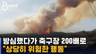 사람 나타나자 '화들짝'…\