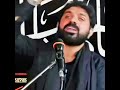 Allama Asif Raza Alvi #viral #shortvideo #whatsupstates #allamaasifrazaalvi