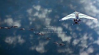 Movie Clips - Fly Away Home - Jeff Daniels #shorts #movie #movieclips #moviescene