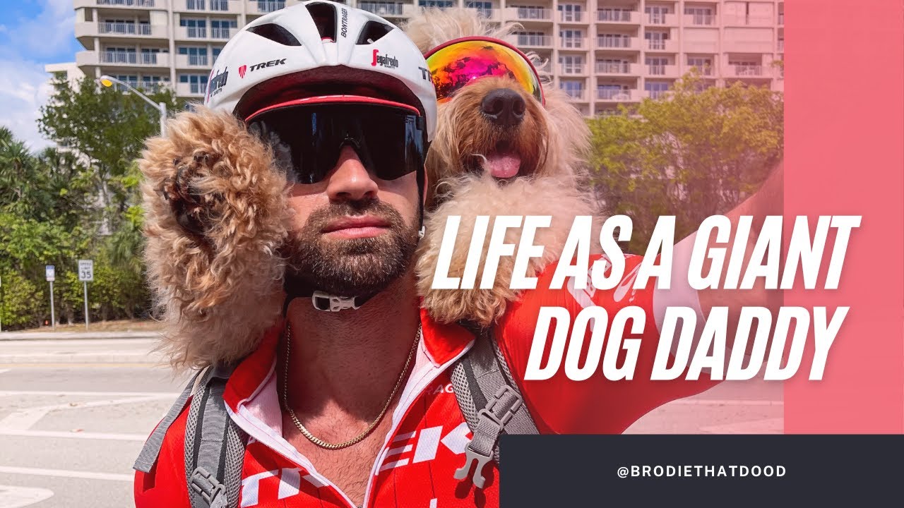 Life as a Giant Dog Daddy!