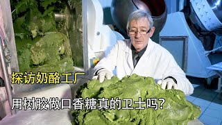 探訪口香糖工廠：人工收集樹脂，古法製作的口香糖真的衛生嗎？