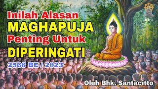 Apa yg terjadi di MOMEN MAGHAPUJA! I Bhikkhu Santacitto