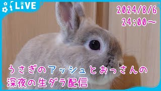 【雑談・うさぎ】うさぎのアッシュとおっさんの深夜の生ダラ配信　2024/8/6