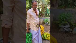 വിശ്വസിക്കാൻ കഴിയുന്നുണ്ടോ 😱 | Banana craft work | Shorts