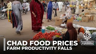 Chad food prices: Millions go hungry as farm productivity falls