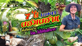 7 ไร่ เกษตรผสมผสาน พื้นที่รอบบ้าน เข้าสวนได้แหล่งอาหารโดยไม่ใช้เงินสักบาท