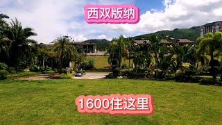 云南西双版纳过冬，租房1600住在花园里，冬天穿短袖比三亚舒服！