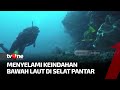 Pesona Taman Laut di Selat Pantar | Pesona Nusantara tvOne