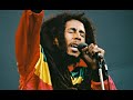 Bob Marley & The Wailers - Ride Natty Ride (Tuff Gong)