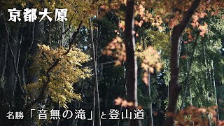 名勝　音無の滝と登山道　京都大原三千里