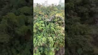 半山 寶馬山 北半山 北角 山景