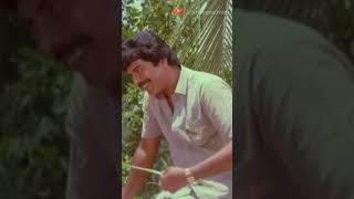 ചേട്ടന് എന്നോട് ഇഷ്ടമുണ്ടോ ! Mammootty - Unni Mary