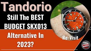 Best Budget SKX013 Alternative in 2023...Is it still the Best Option?