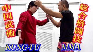 Kung-fu Master meets MMA Fighter【Tamotsu Miyahira】