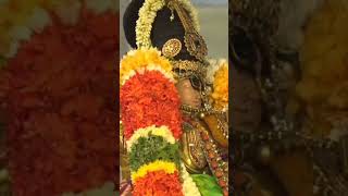 srirangam temple thayar serthi sevai |ஸ்ரீரங்கம் தாயார் சேர்த்தி சேவை |namma Trichy |serthi sevai |