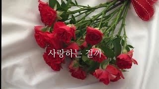 정리 안되는 우리사이 황세옥-결론 가사