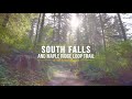 3 5 hrs summer forest walk in oregon s park 4k nature sounds of south falls u0026 maple ridge loop