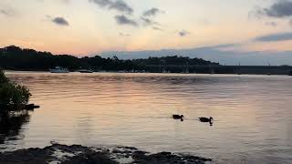 Six minute sunrise, Relaxing music and sunset at Green Point Reserve, Oyster Bay, Sydney, Australia.