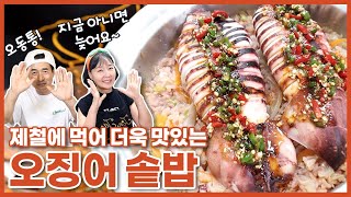 스텐냄비가 있다면 꼭 만드세요! 부드러운 오징어 솥밥 정말 쉬워요! 보들보들 오징어에 매콤한 양념장 까지!