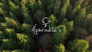 Aphrodite's ：品牌安心保證，肌膚安全把關。